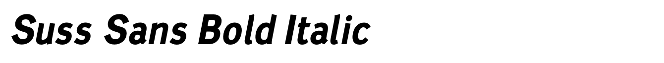 Suss Sans Bold Italic
